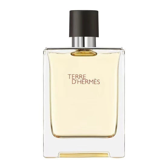 Terre - D'Hermés - Eau De Toilette Masculino-100 ml